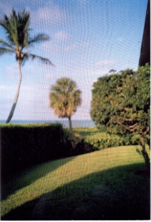 The screened in porch