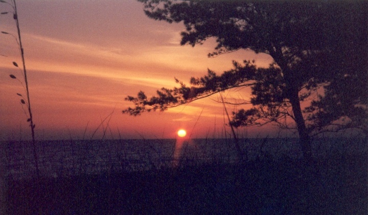 Just the sun and the beach
